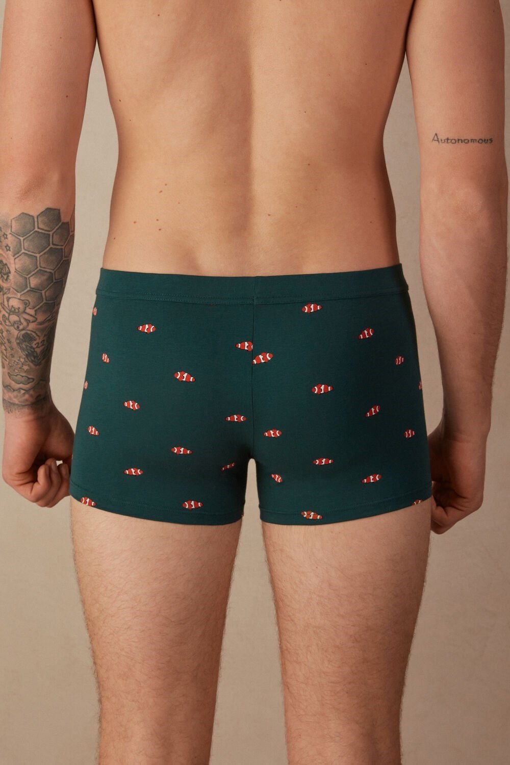 Intimissimi Clownfish Boxers in Natural Fresh Supima® Cotton Green - 308j - Dark Green Clownfish Print | 3069LSPYA