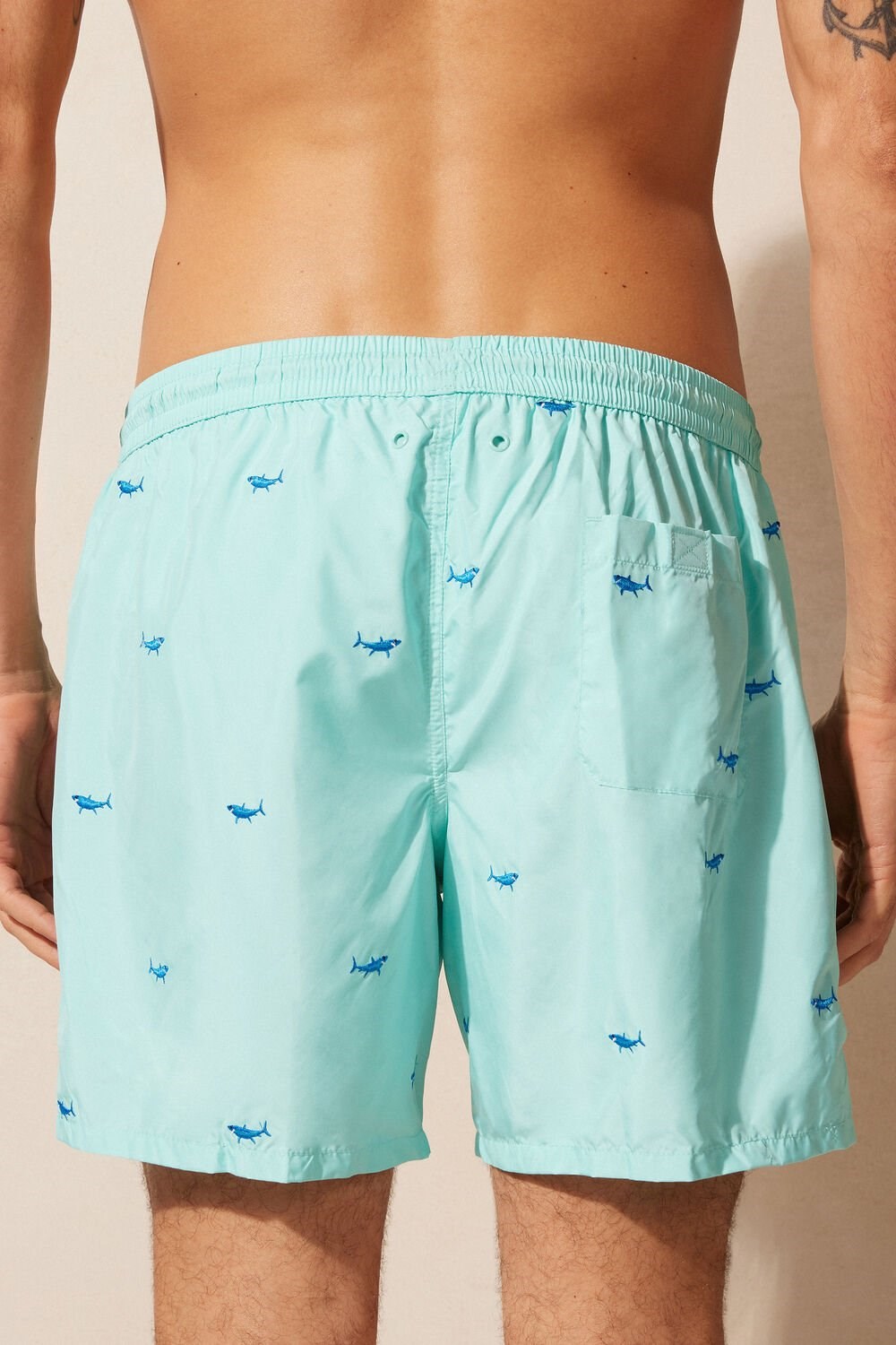 Intimissimi Embroidered Shark Swim Trunks Print - 256j - Aqua Green Shark Embroidery | 4673LMJEB