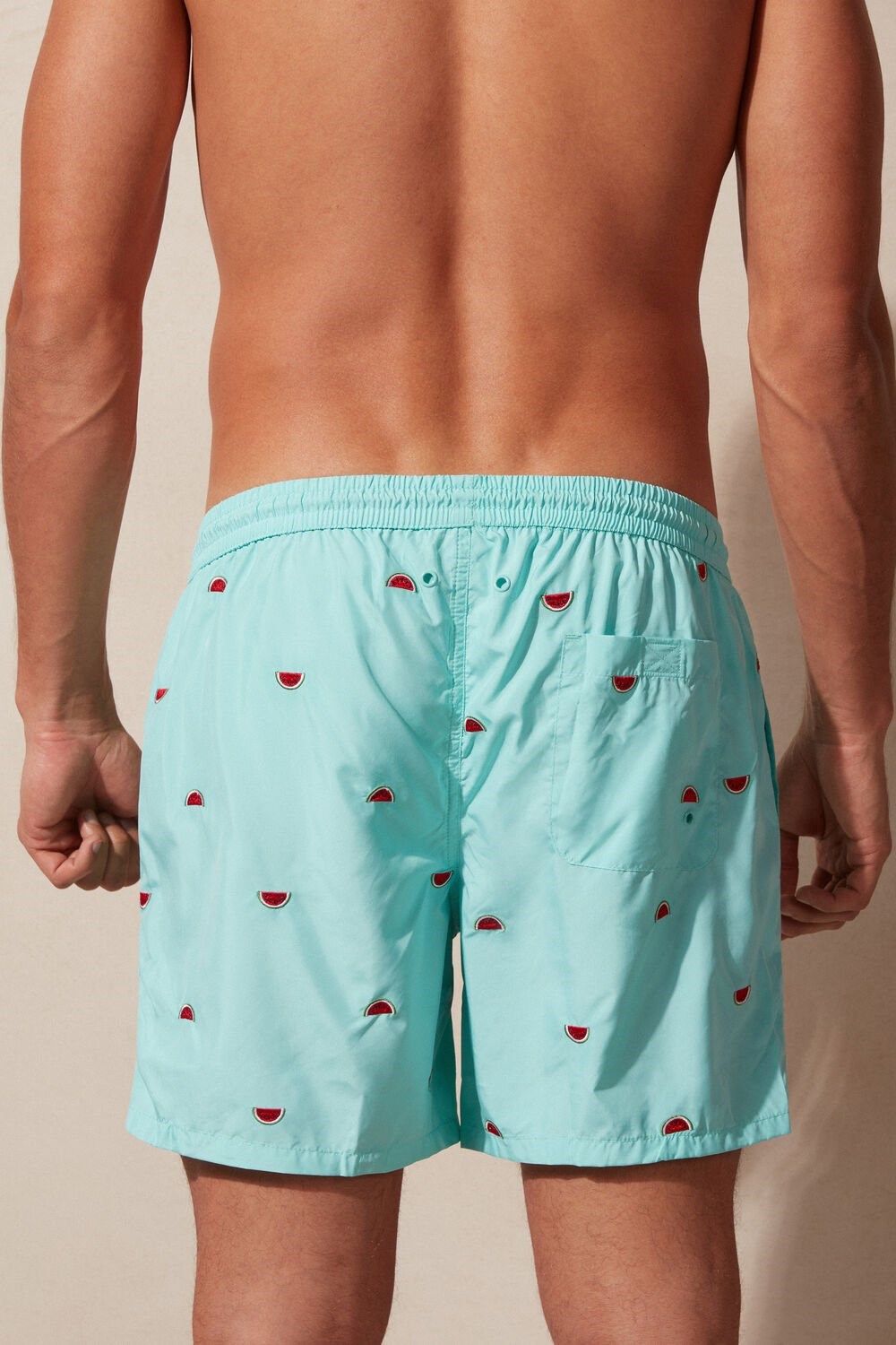 Intimissimi Embroidered Watermelon Swim Trunks Print - 255j - Aqua Green Watermelon Embroidery | 5079SXFKP